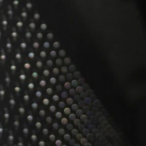 Meet your Posher, Charlie